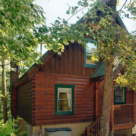 Buddy Bear #249 Pigeon Forge Exterior photo